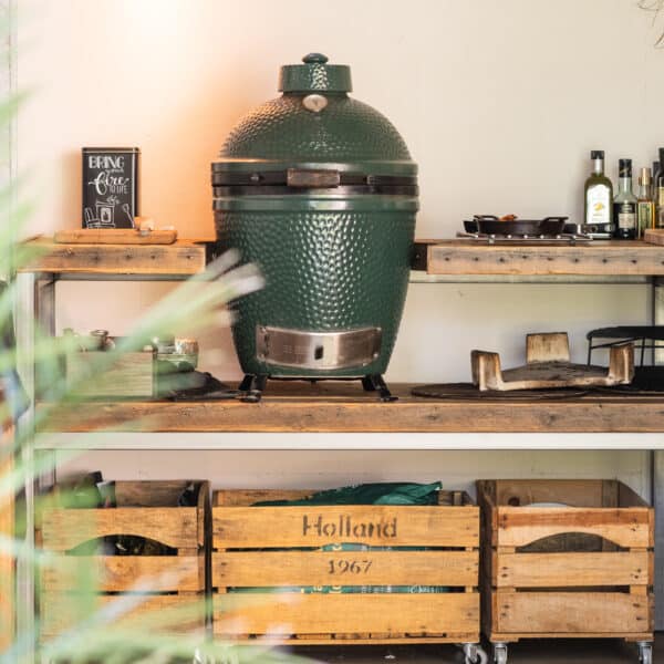Big Green Egg Medium