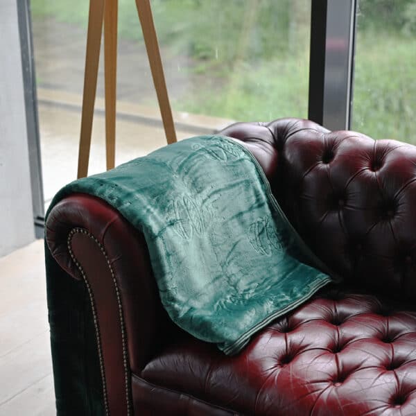 BGE Fanshop - Big Green Egg pléd - Image 3